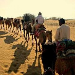 Camel Safari and Camping Tour 3N/4D